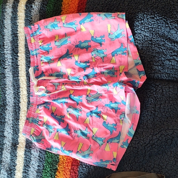 chubbies Other - Chubbies Trunks